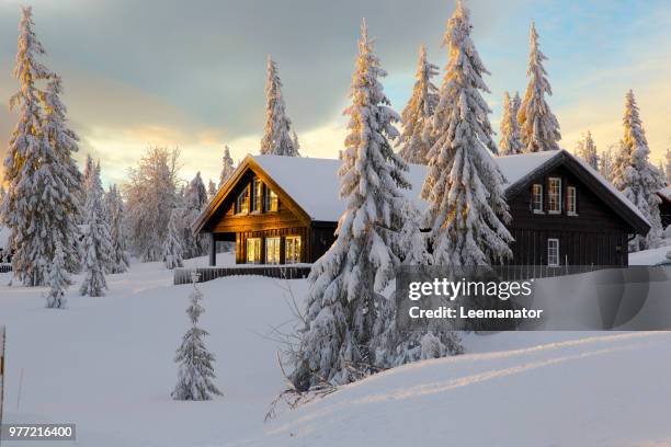 49,166 ログハウス Stock Photos, High-Res