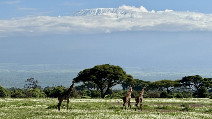 ナイロビからのアンボセリ国立公園3日間の旅 - Hellotickets