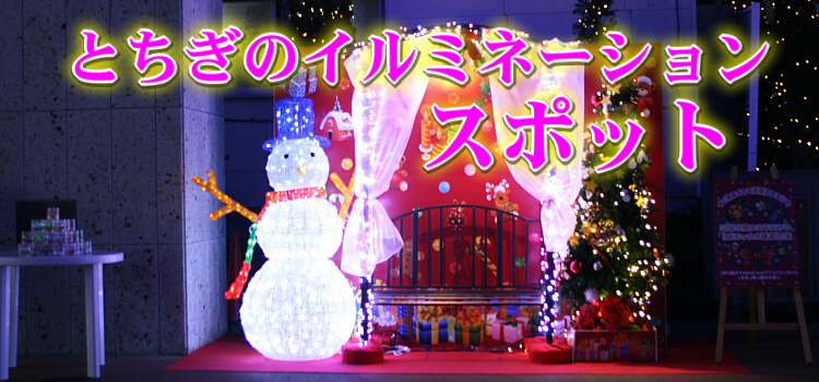 栃木 あしかがフラワーパークのイルミがスタート！新エリアや新プログラムも＜2024-2025＞ じゃらんニュース