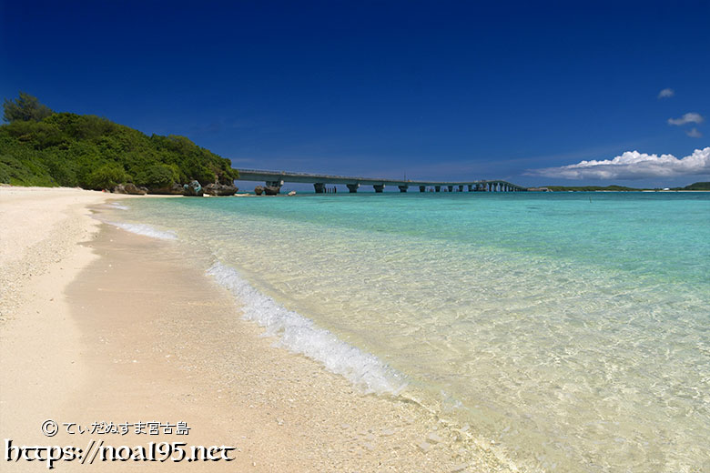 8,728,800点を超えるビーチのストックフォト、写真、そしてロイヤリティフリーの画像 - iStock海, 自然, 花