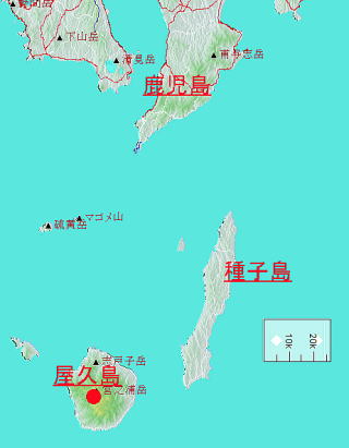 屋久島へ旅行に行く その１: Tea time