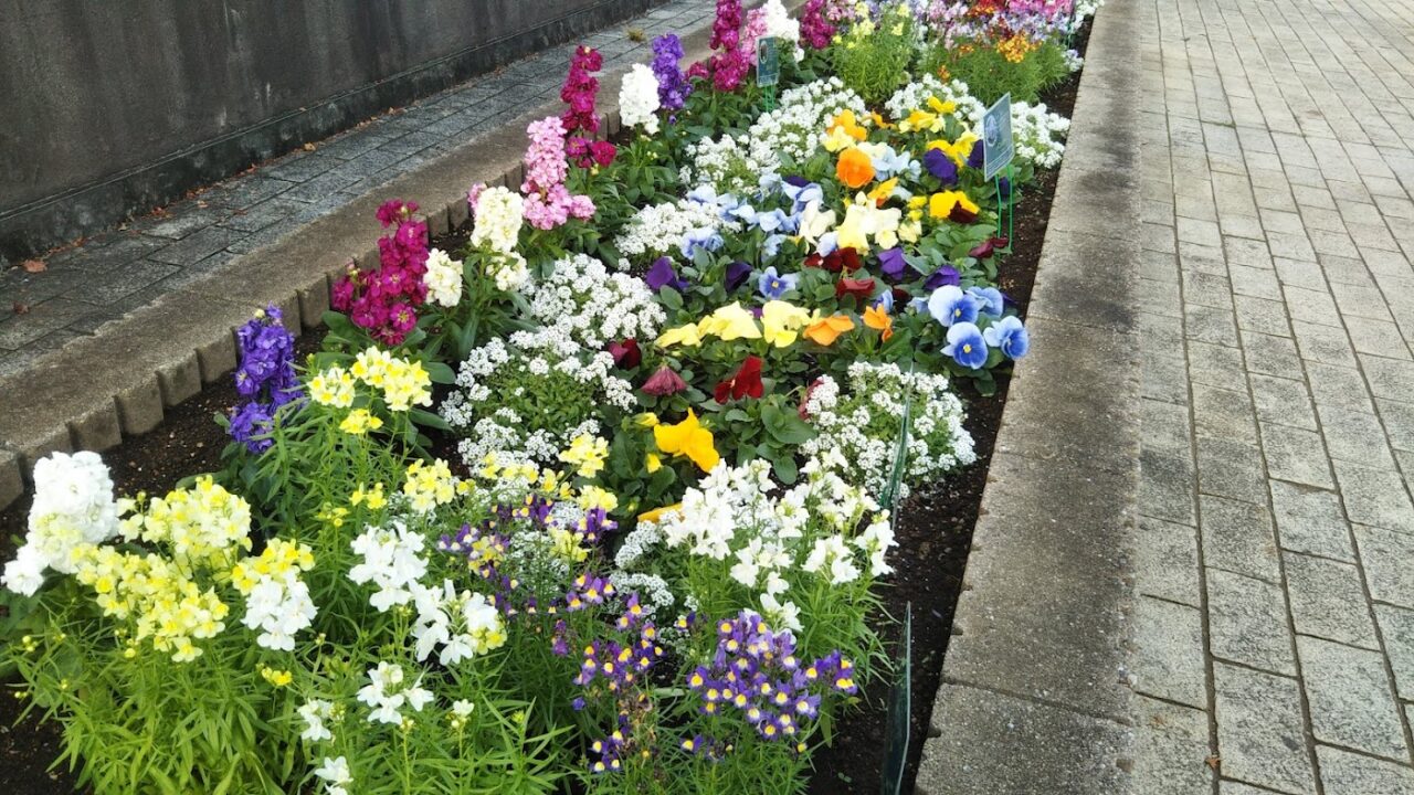 東京ミズマチ」浅草～東京スカイツリー間、隅田川沿いの高架下商業施設に全14店舗 - 新連絡橋も開通 - ファッションプレス