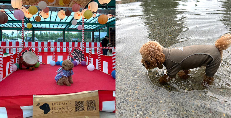 関西 何して遊ぶ？夏休みを楽しむための過ごし方おすすめ9選 じゃらんニュース