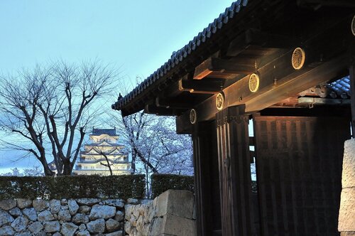 全日本写真連盟 大阪府本部 -