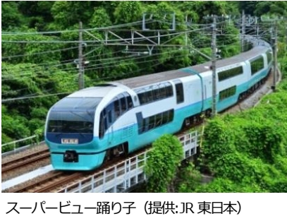 ２５１系・特急 スーパービュー踊り子 乗車記 H24.7.15: