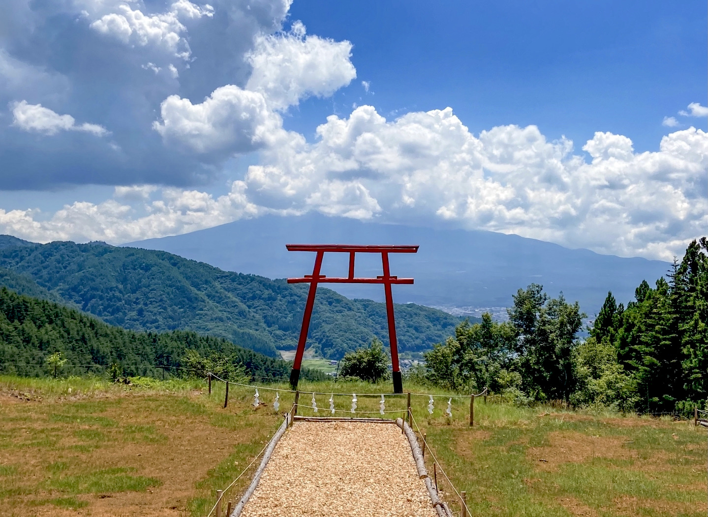 富士山遥拝所へ🚗キキョウ草