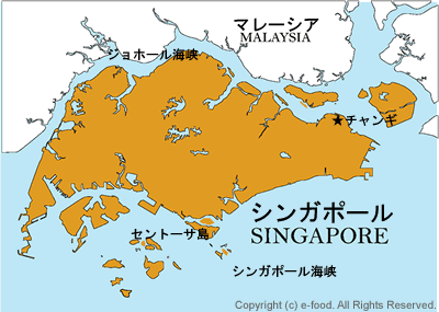 シンガポールへの進出を支援！シンガポール・ASEANの商圏分析・エリアマーケティングに役立つデータ。人口分布・土地価格などロケーションインテリジェンス・位置情報活用のためのGIS・地図システムESRIジャパン