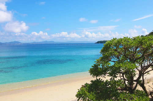 2025年 トンナハビーチ - 出発前に知っておくべきことすべて