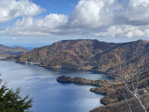 17000歩、歩いた 天城・八丁池ハイキング- ６０歳になりましての日記