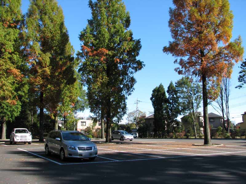 新潟県健康ウォーキングロード 真野御陵コース 健康にいがた21