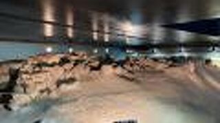 グランドベース博多ベイ - 宿泊予約は＜じゃらんnet＞