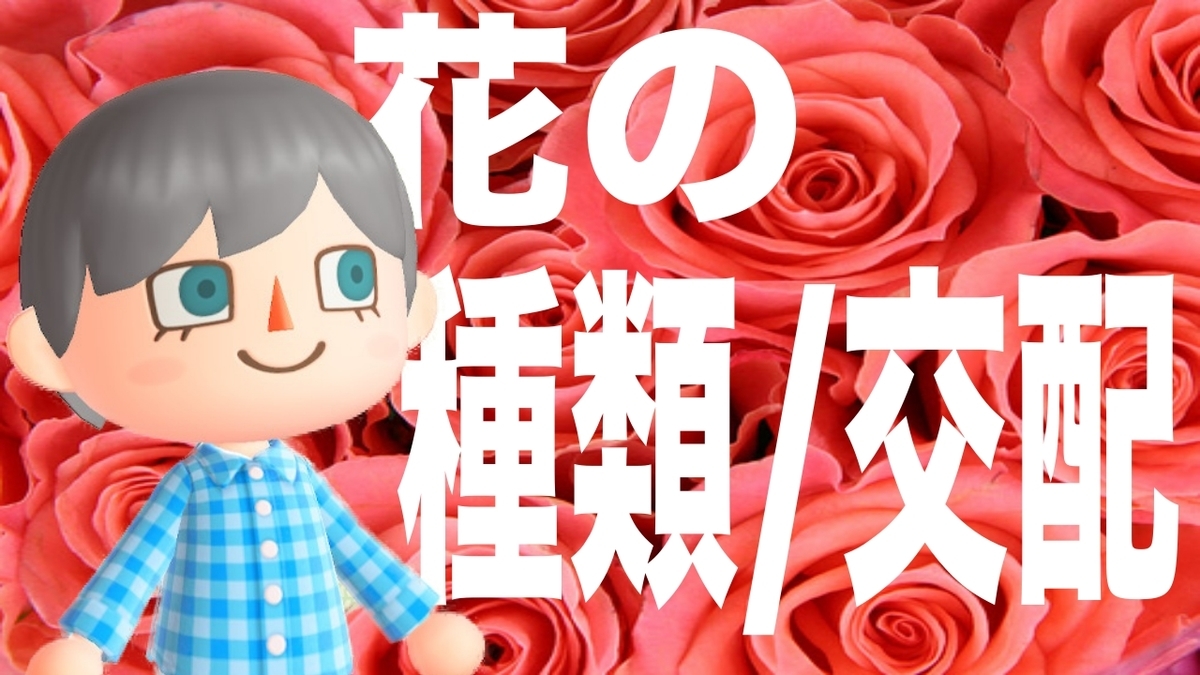 あつ森 最新版！正しい花の交配のやり方～効率の良い花の置き方～ あつまれどうぶつの森
