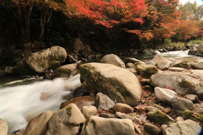 井の頭公園「ペパカフェフォレスト」に行ってきた 自然を楽しみながらタイ料理を堪能むーなび