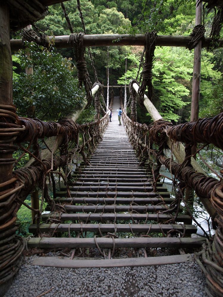 奥祖谷二重かずら橋スポット・体験四国のおすすめ観光・旅行情報！公式 ツーリズム四国