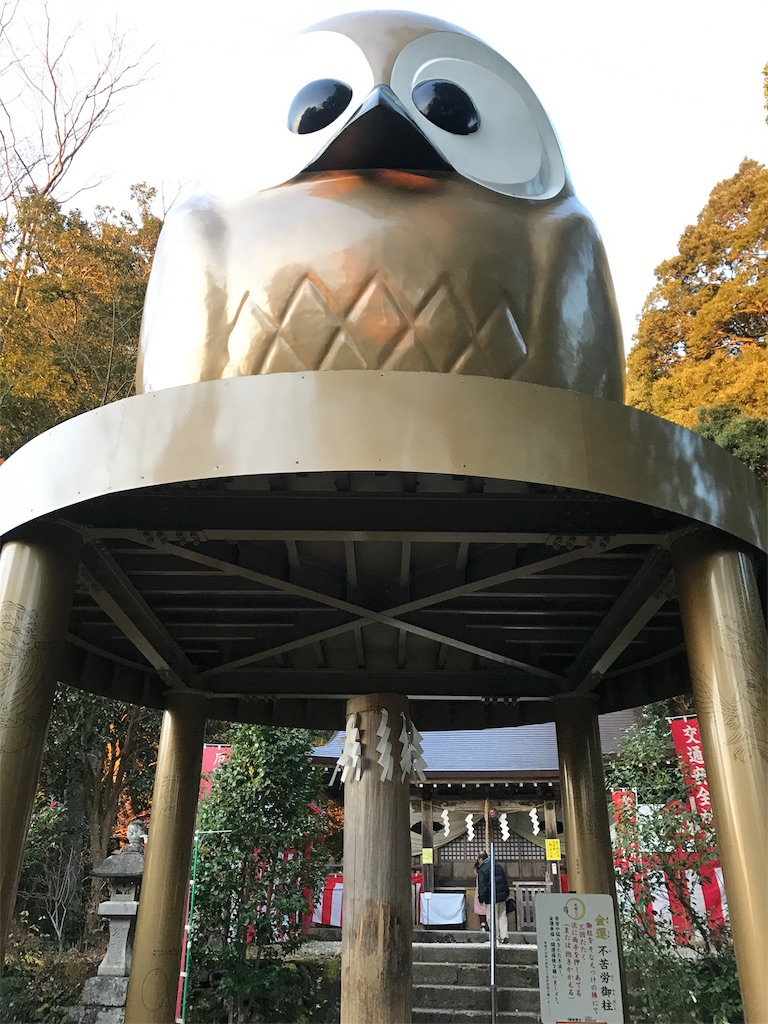 都心マンション屋上にウミネコが多数住み着き“巣作り” 原因は「屋上緑化」か？近隣住民“みゃーみゃー”という鳴き声やフン被害に困惑FNNプライムオンライン