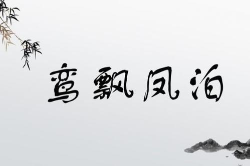 茉莉小鎮日記 2024 12 06＃品茗