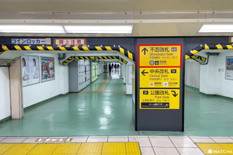 上野駅のおすすめ待ち合わせ場所11スポット～相手を待ちながら上野の歴史に思いを馳せてみる～ - Yahoo! JAPAN