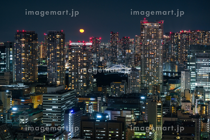 東京の異世界「豊洲」のタワーマンションの景色が・ 高級賃貸の内見- YouTube