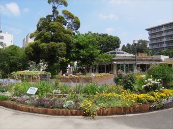 中目黒で開催される夏祭り・イベント2025