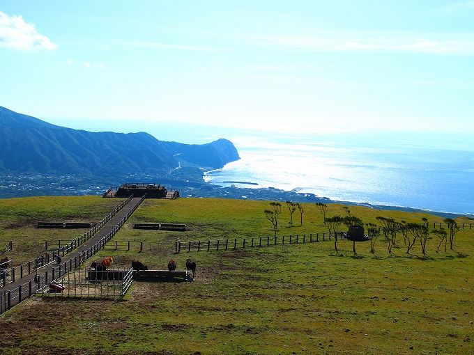 八丈島旅行・ 八丈島ツアーおすすめプラン・パック JTB