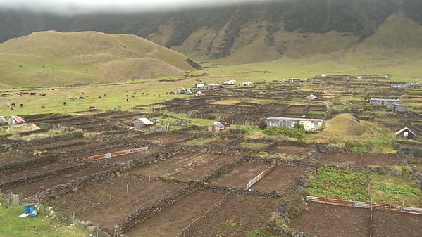 南極クルーズ・北極クルーズの手引き南極旅行・北極旅行のクルーズ・ツアー 株 クルーズライフ