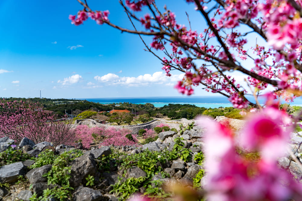 今帰仁城跡 なきじんじょうあとJ-TRIP Smart