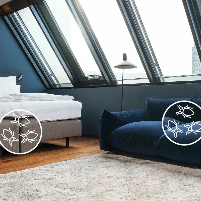 全国トコジラミマップイオンモールで株主優待♪