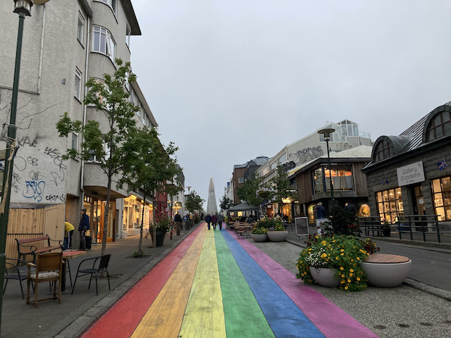 世界の国花シリーズ IS アイスランドかぎけん花図鑑