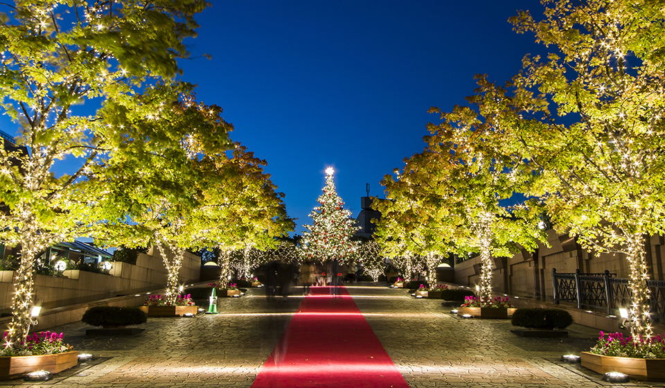 恵比寿ガーデンプレイス イルミネーション 2024のイベント情報 開催期間・開催場所・行き方・景色