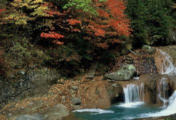 おしどり隠しの滝最新の山行記録と登山ルートやアクセス、気象状況など-ヤマレコ