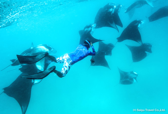 シュノーケリングの服装・基礎知識。初心者向け徹底ガイドダイビングと海の総合サイト・オーシャナ