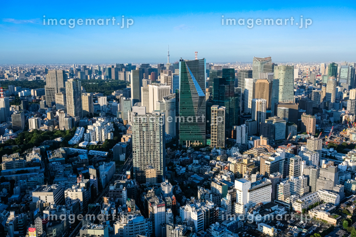 六本木ヒルズの楽しみ方5選 - LIVE JAPAN日本の旅行・観光・体験ガイド