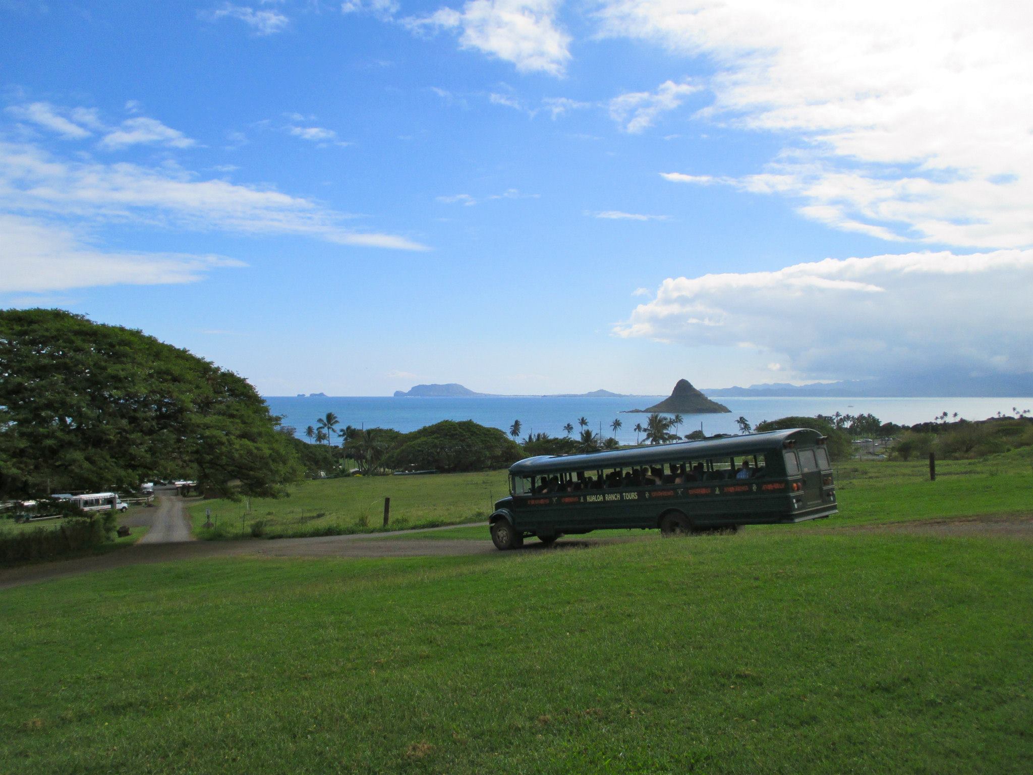 ハワイ・クアロア・ランチで体験！乗馬とロケ地巡りの魅力を紹介