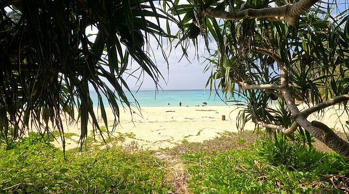 沖縄本島でシュノーケルを楽しめるおすすめビーチ・スポット20選トリッパ