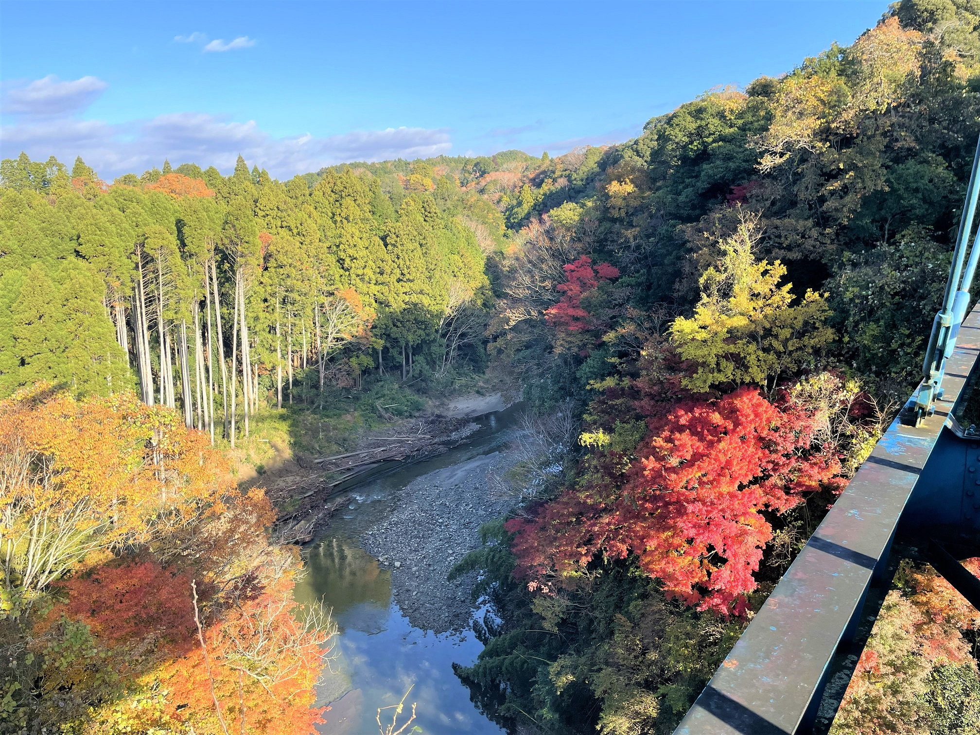大芦渓谷子供とお出かけ情報「いこーよ」
