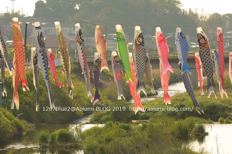関東 大迫力の伝統美！ 優雅な「鯉のぼり」を見られるお祭り５選 - おすすめ旅行を探すならトラベルブック