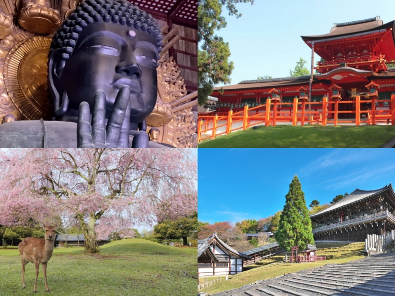 奈良公園クイックガイド » みどころ