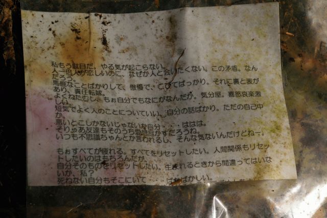 樹海の落し物を辿る冒険TikTok