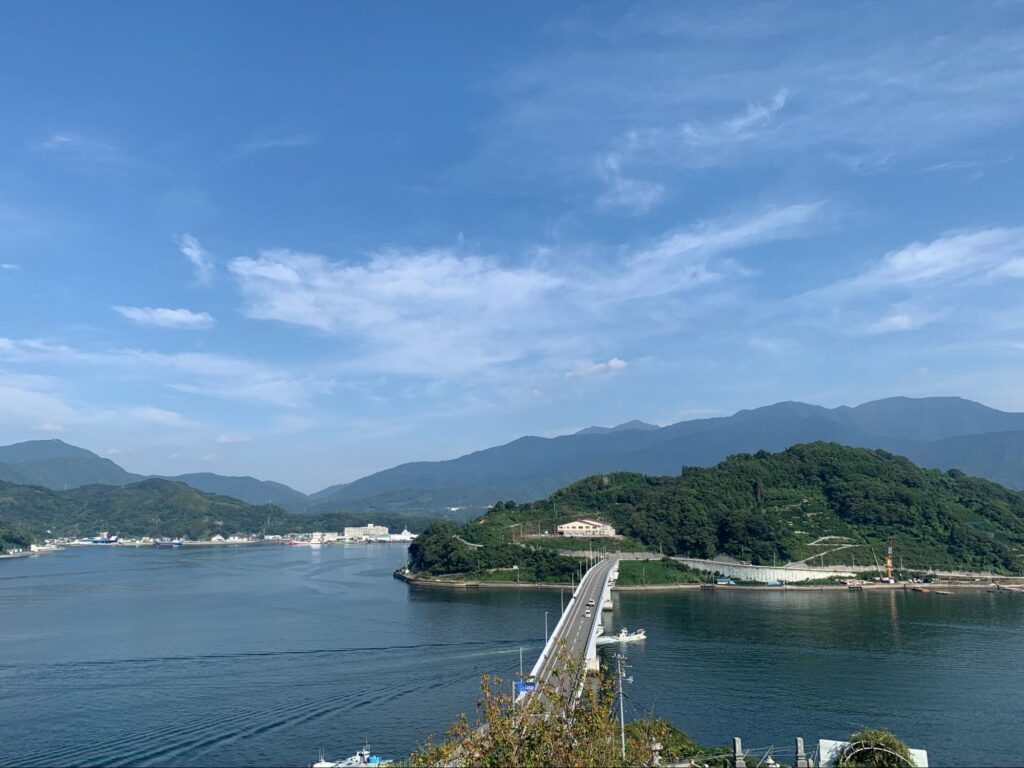 宇和島・九島大橋イルミネーション愛媛新聞ONLINE