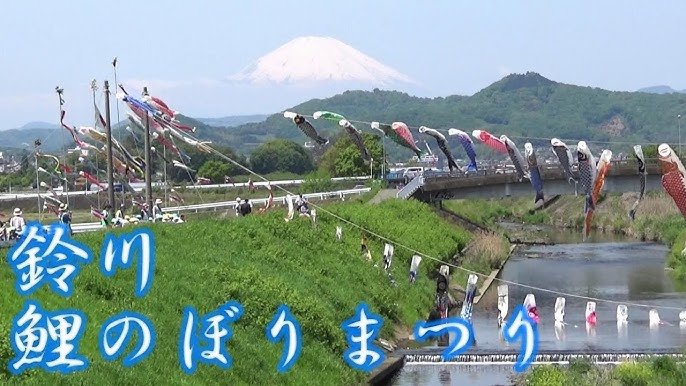 鈴川鯉のぼりまつり 2024年雄大な富士山をバックに 優雅に泳ぐ200匹のこいのぼり神奈川県平塚市いこーよとりっぷ