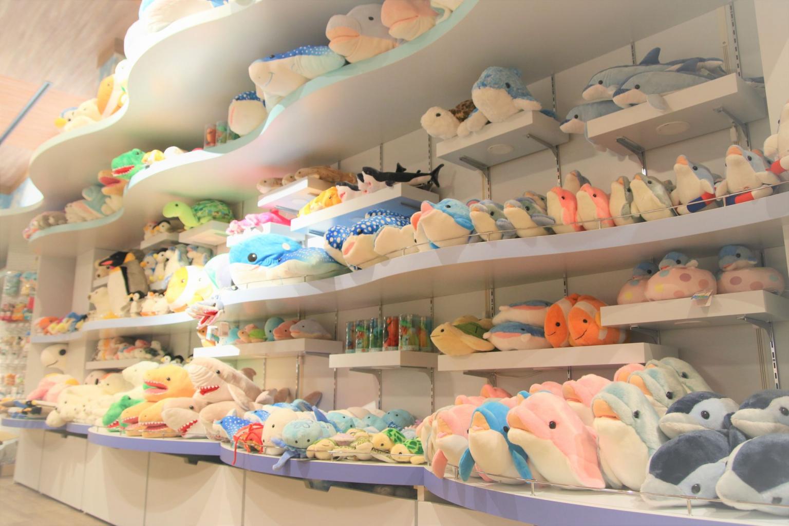 海中水族館シードーナツ天草パールガーデン ＆ 海中水族館シードーナツ