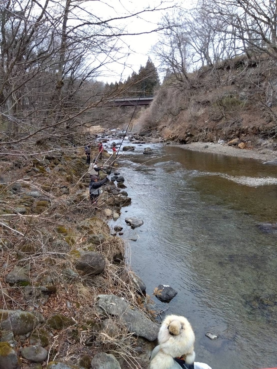 Ａ Ｃａｔｃｈ 釣果: 茨城県