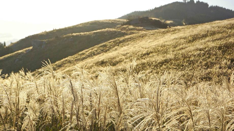 撮り鉄ギャラリー JR西日本 その他の線区