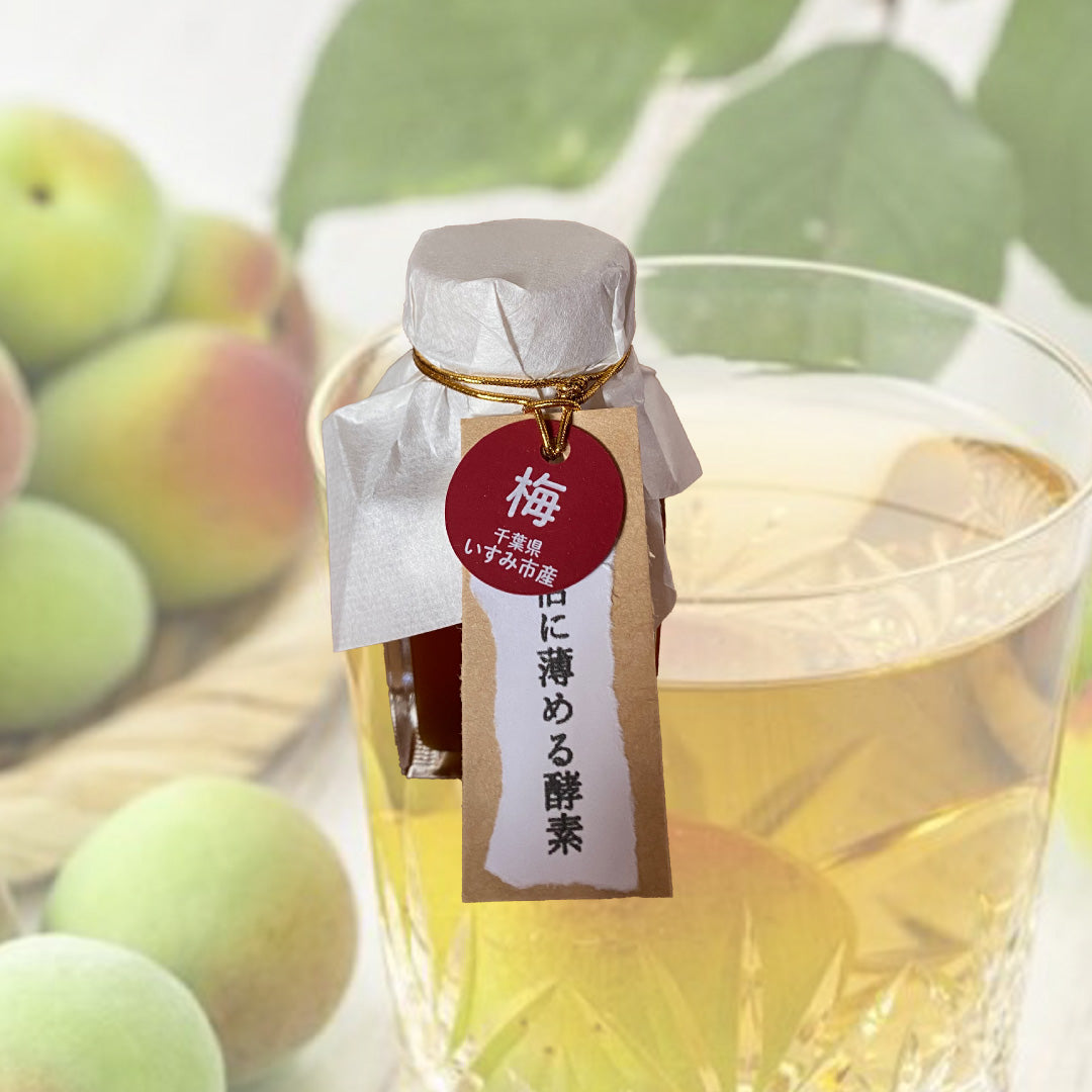 大原漁港・港の朝市 - いすみ市観光協会