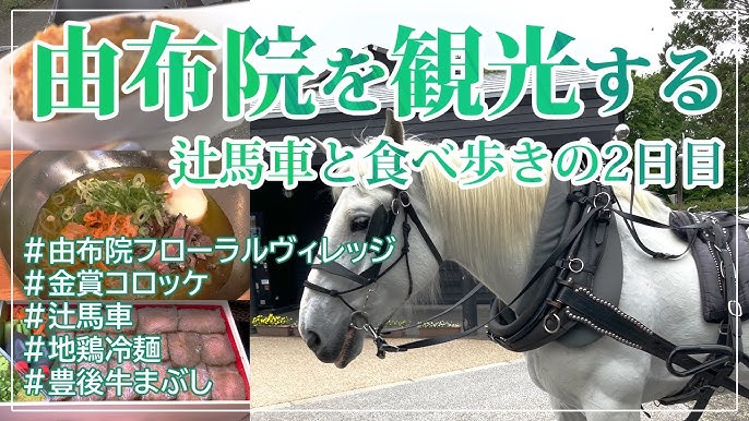 ゆふいん巡り。辻馬車に揺られ、心ほぐれる旅時間 – YUFUINFO湯布院・庄内・挾間公式旅ガイド