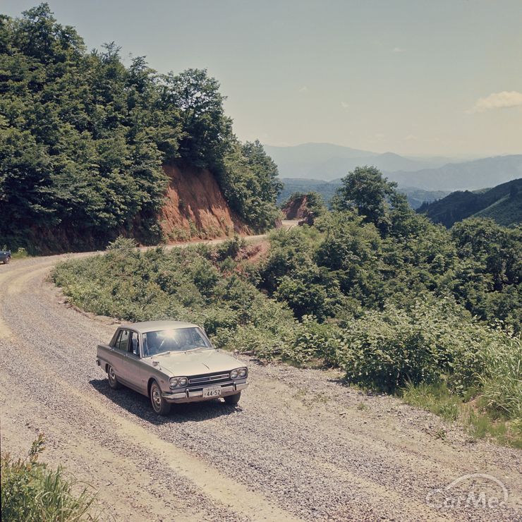 ケンとメリーの木白井 梅