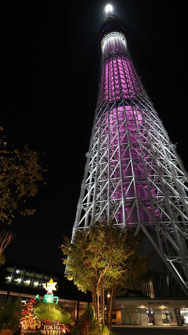 画像・写真「ピンクリボン運動」で東京タワーがピンク色に 3枚目オリコンニュース ORICON NEWS