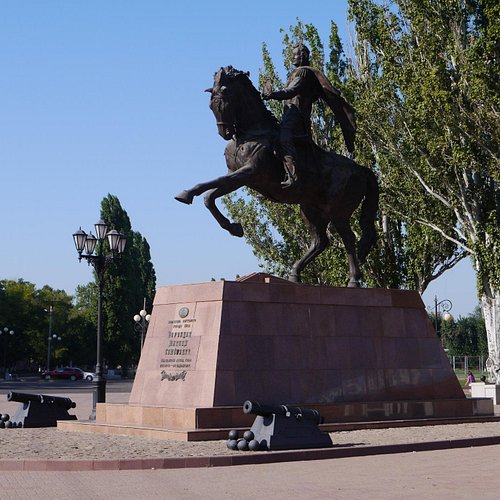 アマミホシゾラフグのサークル作り 奄美大島- ワイルドライフ Wildlife