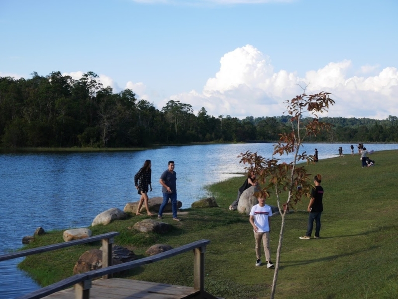 カオヤイ国立公園の行き方と楽しみ方 2024年最新版