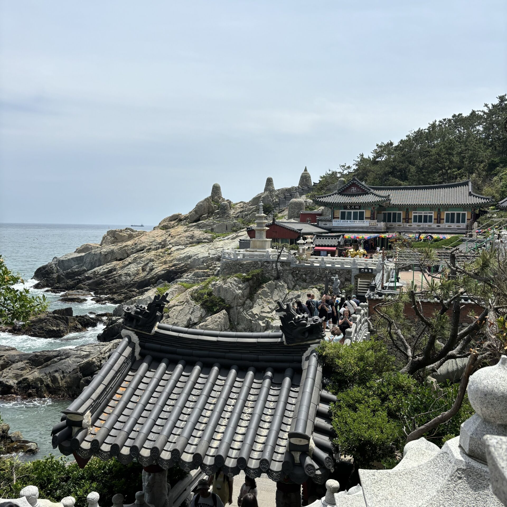 海雲台ブルーラインパーク＋海東龍宮寺 日帰り半日ツアー 日本語ガイド付き